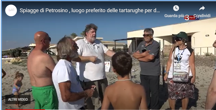 tartarughe