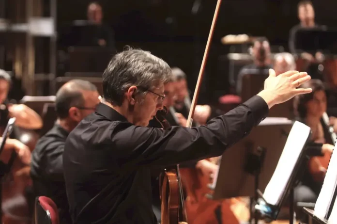SilviuDima_Ensemble-darchi.jpg
