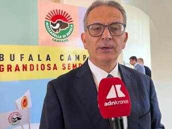 giordano_arcadia.jpeg