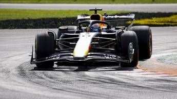 max_verstappen.jpeg