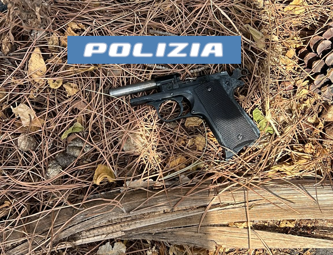 Pistola recuperata, fotografia pubblicata dalla fonte